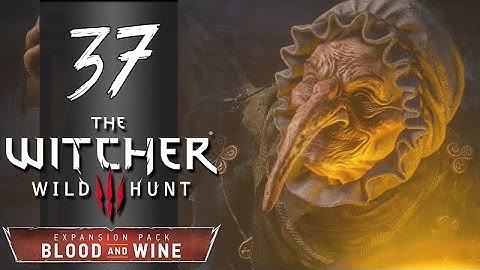 Blood and Wine Witcher 3 - Part 37 - Beyond Hill and Dale - Let