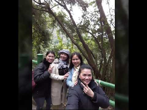 Video: Yangmingshanin kansallispuisto: täydellinen opas