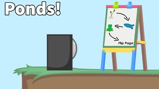 Biology Class - Pond Ecosystem Animation