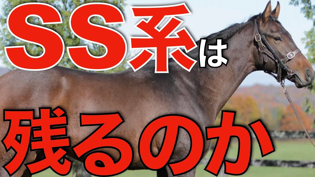 歴史を変えた】サンデーサイレンス系は日本で残り続けるのか！ディープ