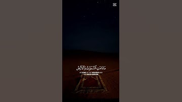 القرآن الكريم بصوت بصوت مريح ❤️ #elmulquranعلم #الرحمن #لايك #القارىء #اكسبلور #القارىء_اسلام_صبحي
