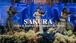 Rossa - Sakura Violin Dance Performance by VIOLET