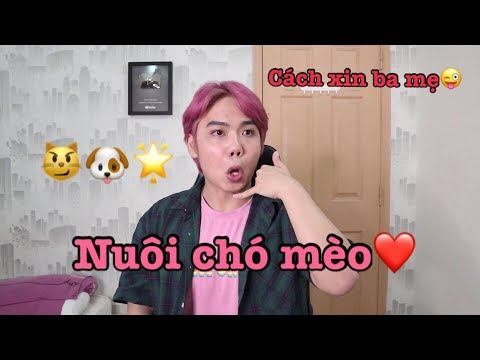 Video: Cách Thuyết Phục Cha Mẹ Mua Chó