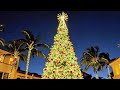 Holiday Season Lights at World Famous Worth Avenue of Palm Beach, Florida