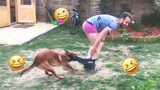 You Will Laugh Harder Than You Expect 🤣 FUNNIEST DOGS Video 2026 #147