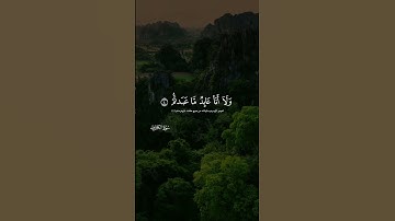 سورة الكافرون شيخ أحمد العجمي