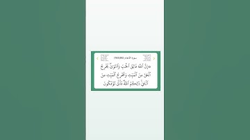 سورة الأنعام ٩٥