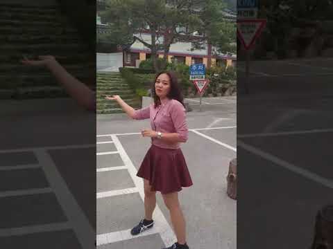 วัดวาวูจองซา