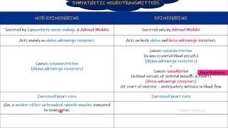 Epinephrine, Nor-epinephrine. Chapter 18 part 3. Guyton and Hall Physiology.