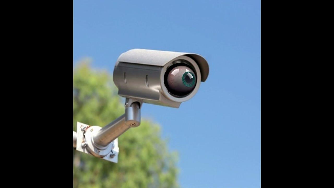 Смелое камера. Камера видеонаблюдения. Rvi-169slr. Милая камера. Камера вр 360 про.