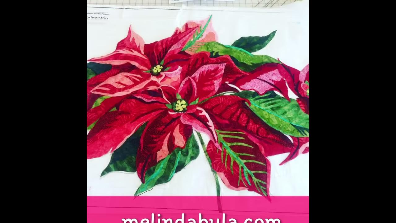 Melinda Bula/It’s Never Too Early for Christmas Poinsettias - YouTube