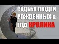 СУДЬБА ЛЮДЕЙ , РОЖДЕННЫХ В ГОД КРОЛИКА ( КОТА) ЧАСТЬ 1