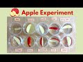Apple Browning and Prevention Methods Quiz
