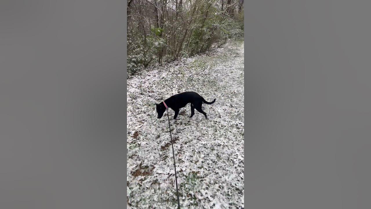 Snow in Va YouTube