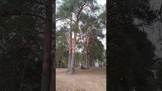 Решили присесть с мужиками на берегу реки Клязьма полюбоваться природой