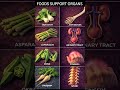 The Science Behind Eating Healthy Foods for Healing and Prevention