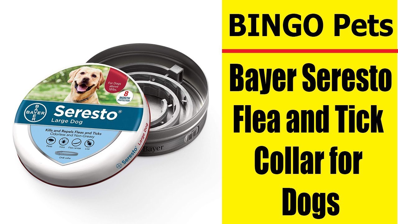 Bayer Seresto Flea and Tick Collar for Dogs Review ll Best Dog Collar 2019