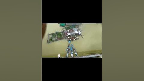 Trại cá giống út me chuyên cung cấp các loại cá giống nước ngọt 0909 77 0509