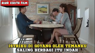 RASA BERCOCOK TANAM MENINGKAT DEMI KEPUASAN | Alur Cerita Film THE INVITED MAN 2017