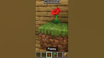 Minecraft endless STAIRCASE LOOP #shorts