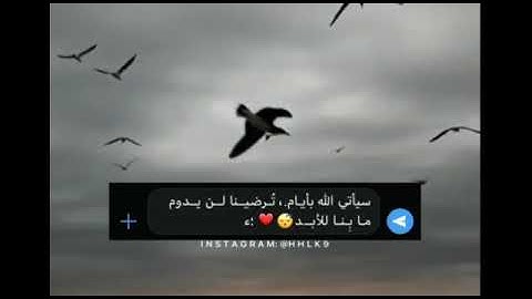 إِن كُلُّ مَن فِي السَّمَاوَاتِ وَالْأَرْضِ إِلَّا آتِي الرَّحْمَٰنِ عَبْدًا||للقارئ عبد الرحمن مسعد
