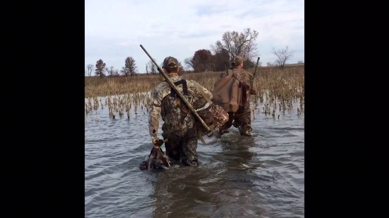 2015 Missouri Waterfowl season YouTube