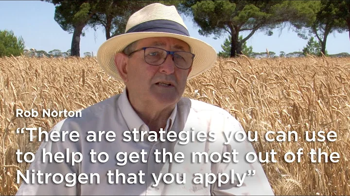 Rob Norton: Nitrogen use efficiency