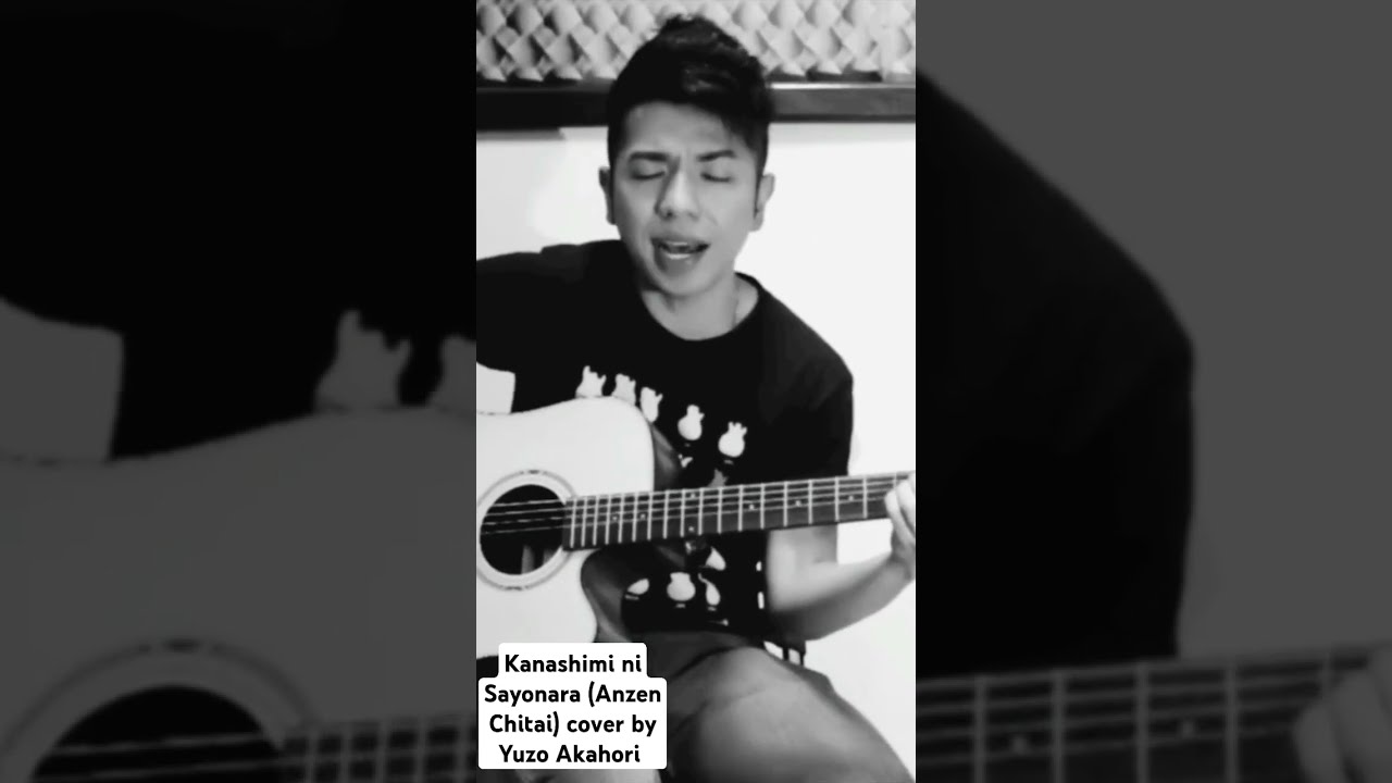 KANASHIMI NI SAYONARA (ANZEN CHITAI) cover by Yuzo Akahori