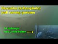 Nembak ikan ke sarang gurame,, guramenya nantangin saya. (nila di bubu segede gaban)