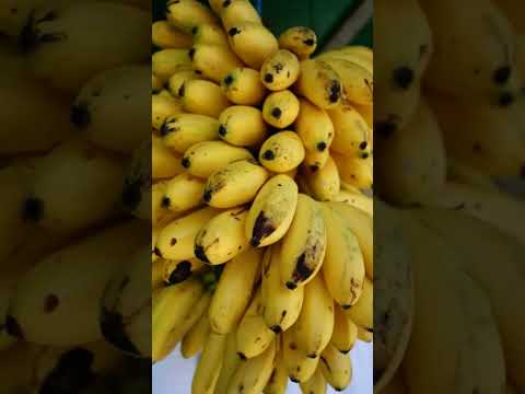 benefícios da banana