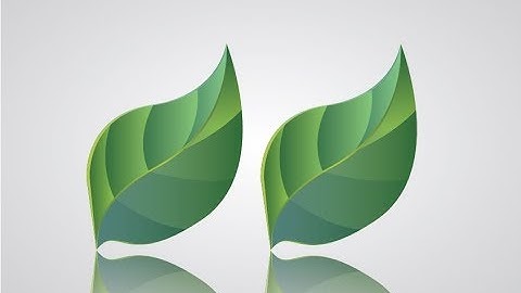 2017 Illustrator CC Tutorial | Graphic Design | How to Create Leaf and Water Drop Design Part 1