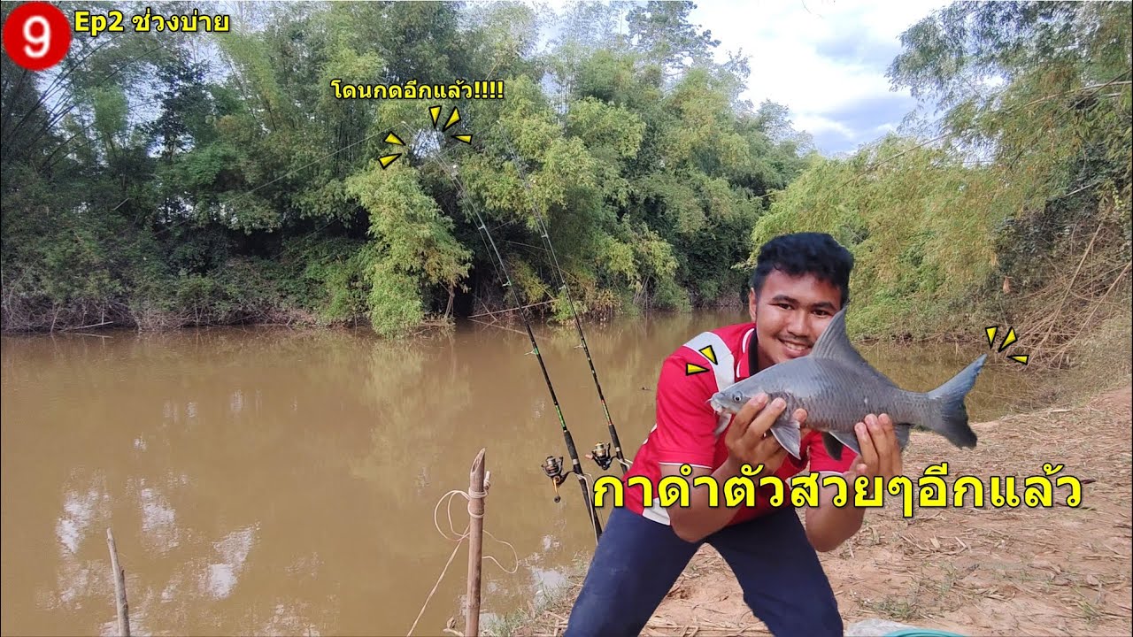 N.Boky/ตกปลาหน้าดินep29 กาดำกด3แต้มติดหมานมากๆครับ