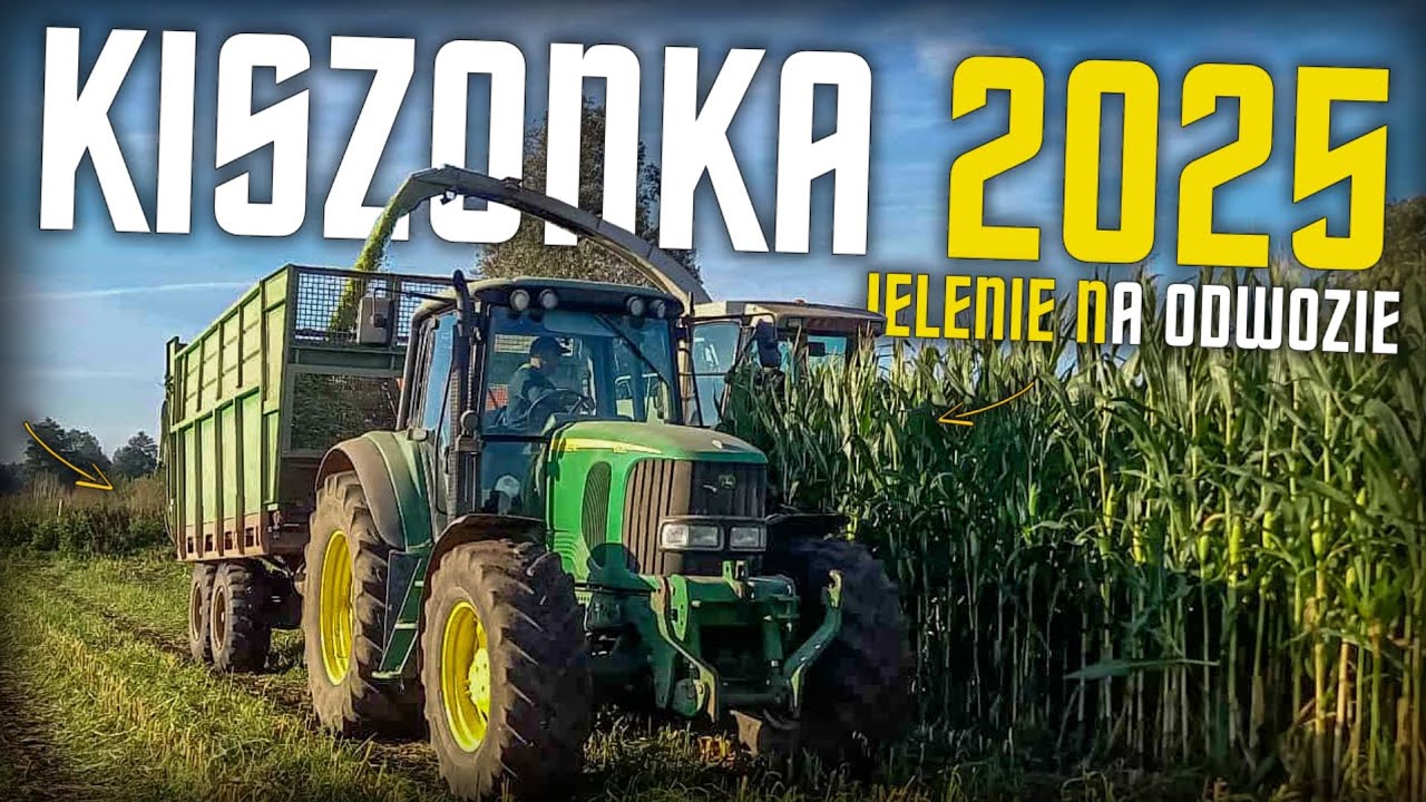 🔥JELENIE DAJĄ CZADU!🔥OPOROWE KOSZENIE 30 HEKTARÓW KUKURYDZY NA KISZONKĘ 2025🔥🌽🚜✅️