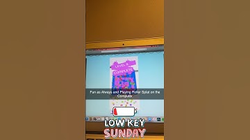 Fun as Always and Playing Roller Splat on the Computer