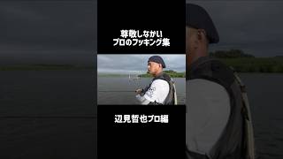 フッキング集　辺見哲也プロ編　#シーバスルアー#釣り#辺見哲也#アイマ#SHIMANO#ステラ