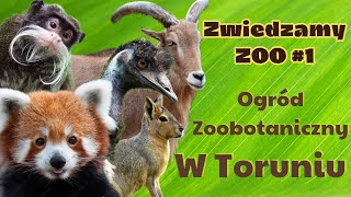 Ogród Zoobotaniczny W Toruniu  Zwiedzamy ZOO [1]