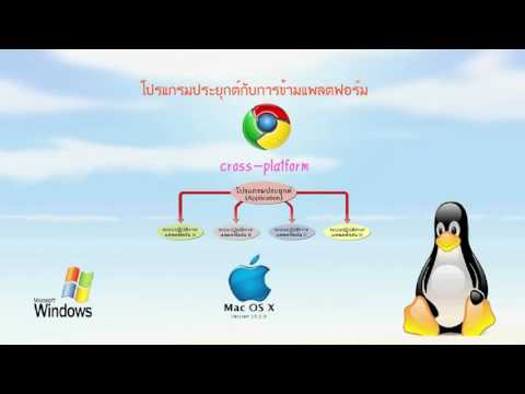 โครงสร้างและหน้าที่การทำงานของระบบคอมพิวเตอร์