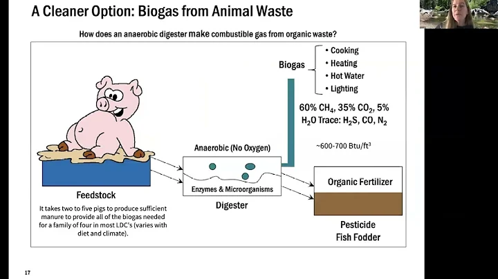 Biomass 10-Minute Take | Diana Gragg | Stanford Understand Energy
