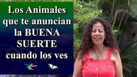 ¿Pueden los animales ver una luz roja?