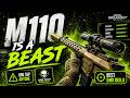 M110 DOMINATING Distorted Valley 🔥 | Arena Breakout Infinite SS5