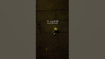 قرآن كريم #سعود_الشريم #quran #قرآن #قران_كريم