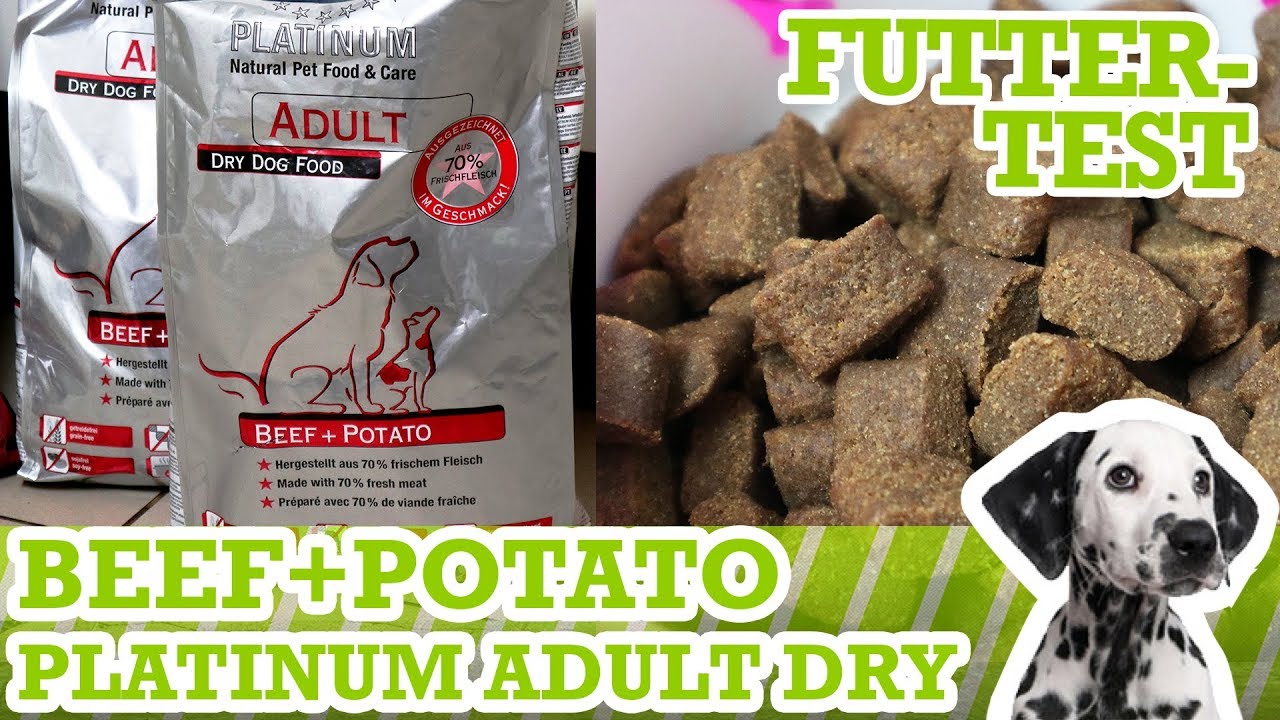 Hundefuttertest Platinum Adult Beef+Potato - Inhalt, Geruch & Preis-Leistung