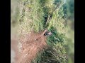 perjalanan cahaya kartala Bandung barat