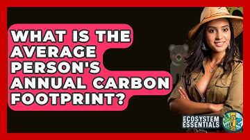 What Is The Average Person