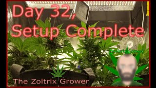 Day 32 of Flower GSCE | Flower Tent Complete | Growing Under Mars Hydro | TWTGC
