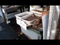 Fish flopping  sf live markets