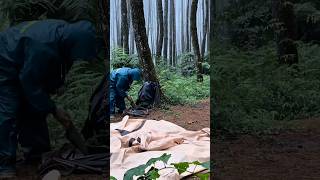 Setup tent in heavy Rain #asmr #camping #shorts #rain #solocamping #nature #relax #soundforsleep