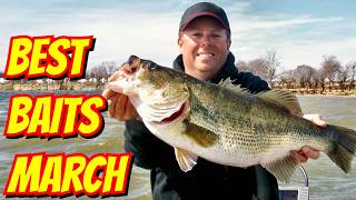 5 Best Baits for March Bass Fishing—What Actually Works