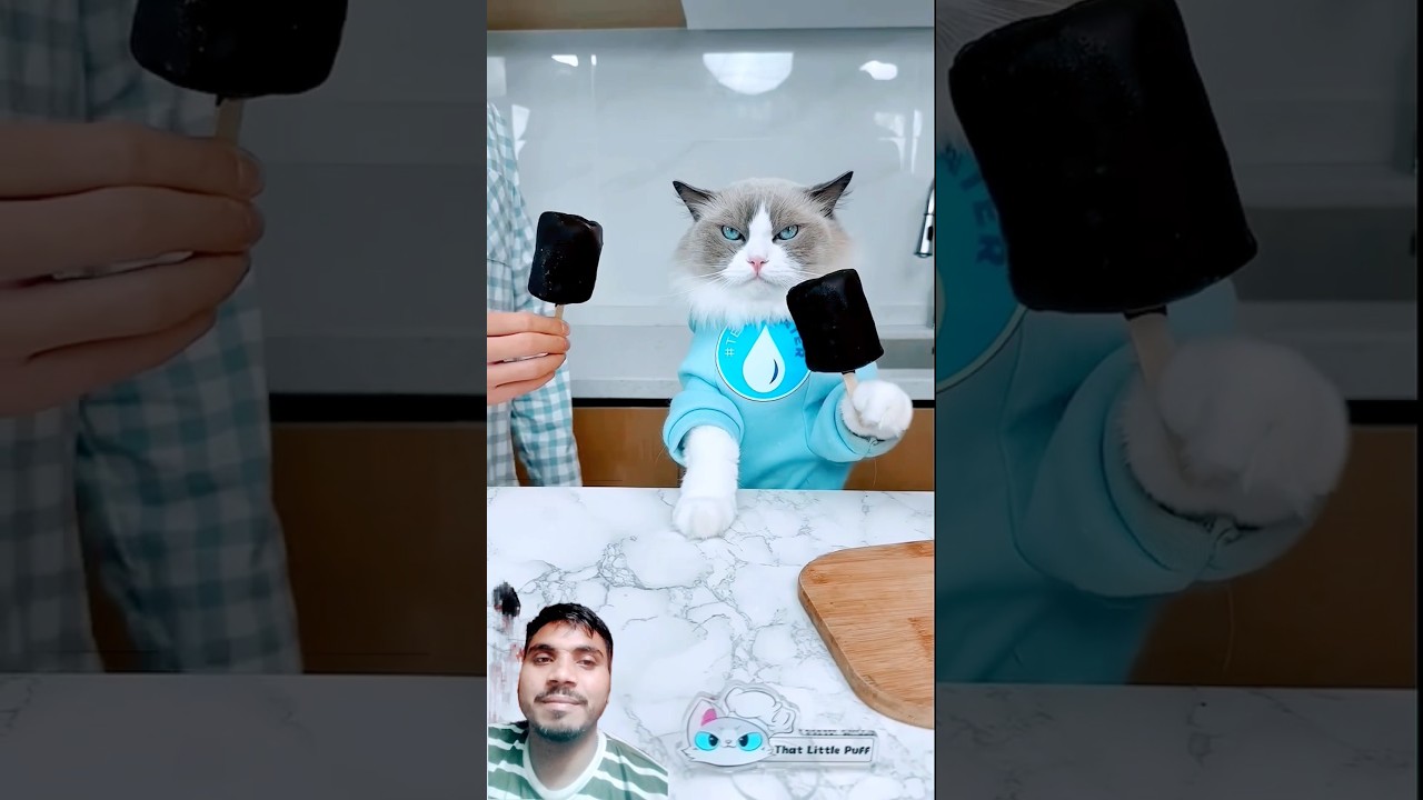 Snacks for both #thatlittlepuffSnacks #cat #cats #funny #pets #viral #trending #funny 😆