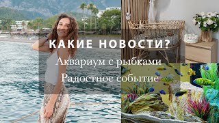 НОВОСТИ, МОИ РОДНЫЕ💗 ЗАВЕЛИ АКВАРИУМ С РЫБКАМИ🐠🐠🐠 ВЛОГ ИЗ БЕРЛИНА